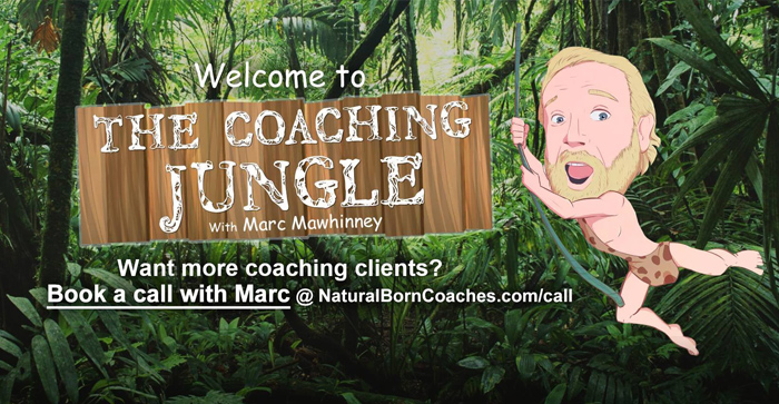 The Coaching Jungle